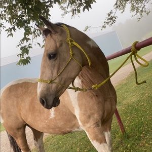 Meet your Posher, Shelby